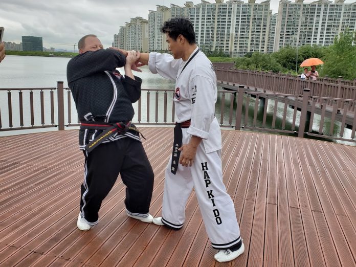Hapkido Grandmaster