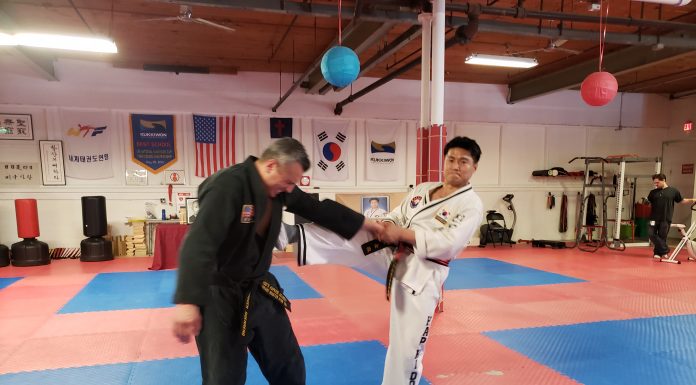 Hapkido
